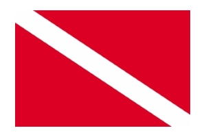 Bandera PADI - Professional Association of Diving Instructors - Arrecife Diver's