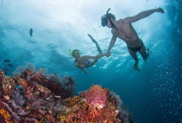 Cursos de buceo en Los Roques - Escuelas autorizadas PADI y SSI