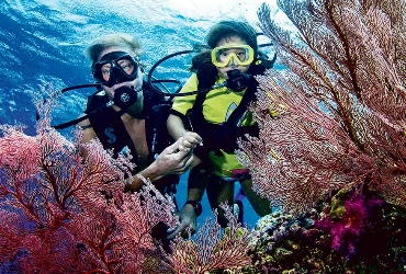 Buceo para niños en Venezuela - Cursos de buceo en Los Roques - PADI