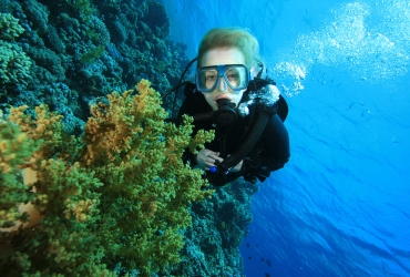 Arrecife Diver's - El centro de buceo más antiguo y grande de Los Roques