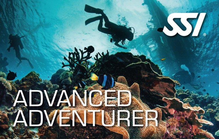Cursos especiales de buceo en Los Roques - Venezuela - Scuba Schools International