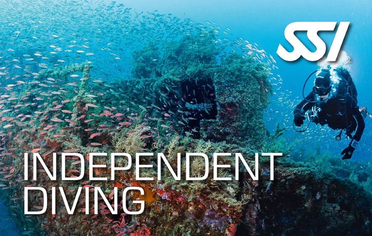 Curso de buceo independiente en Los Roques Vneezuela - Arrecife Diver's