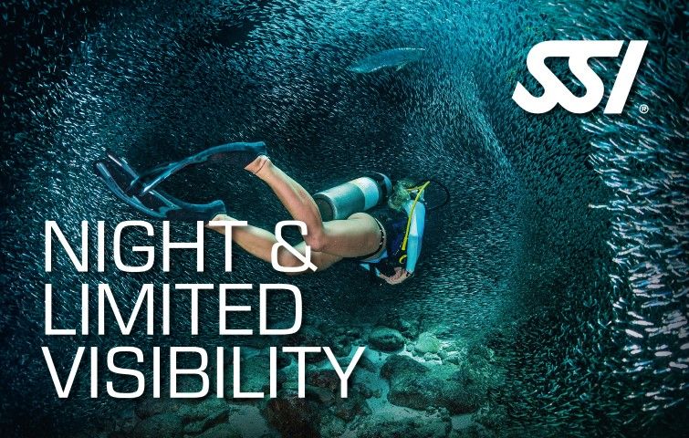 Curso de buceo nocturno en Los Roques - Descubre bucear en la noche - Night Diving