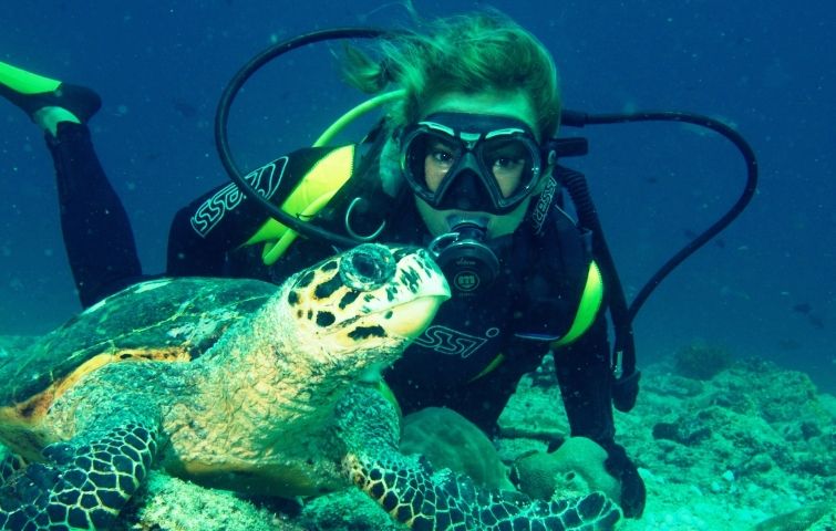 Refresca y actualiza tus conocimientos de buceo en Los Roques - Centro de buceo PADI Venezuela Refresca y actualiza tus conocimientos de buceo en Los Roques - Centro de buceo PADI Venezuela