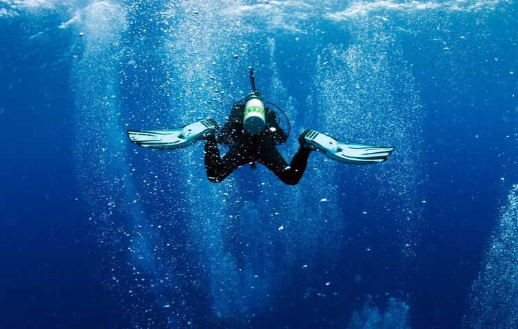Programa de buceo PADI Drift Diver en Venezuela - Bucea con la corriente en Los Roques Programa de buceo PADI Drift Diver en Venezuela - Bucea con la corriente en Los Roques