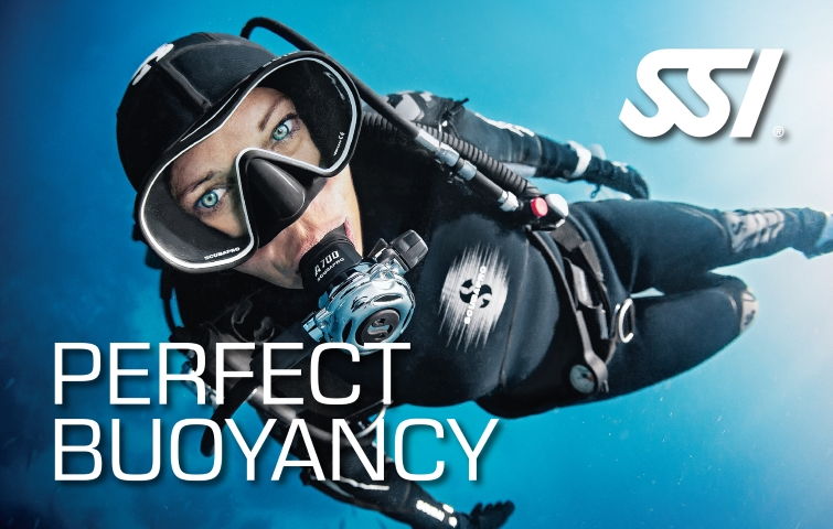 Curso de buceo de flotabilidad perfecta - El mejor centro de buceo de Venezuela - Arrecife Diver's