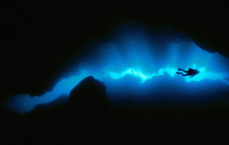 Buceo profundo en Los Roques - Descubre las maravillas que hay en las profundidades de Los Roques - Arrecife Diver's