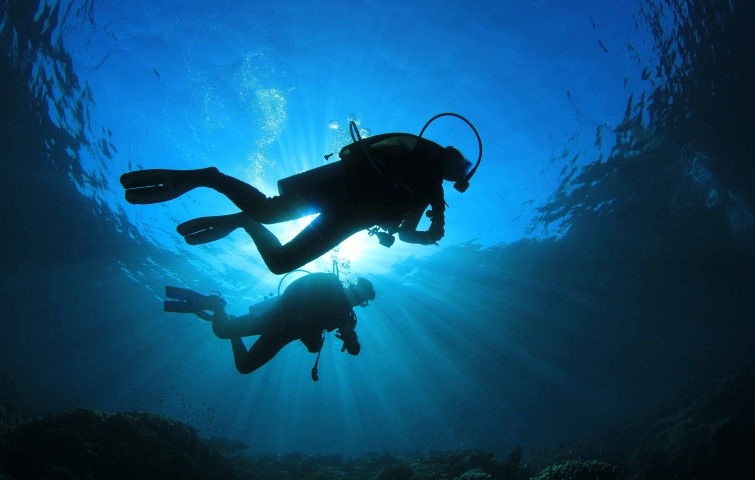 Cursos de buceo en Venezuela - Centros y escuelas de buceo en Los Roques Cursos de buceo en Venezuela - Centros y escuelas de buceo en Los Roques