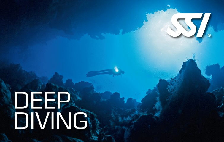 Buceo en la profundidades - Arrecife Diver's - Deep Diving in Los Roques, Caribbean Buceo en la profundidades - Arrecife Diver's - Deep Diving in Los Roques, Caribbean