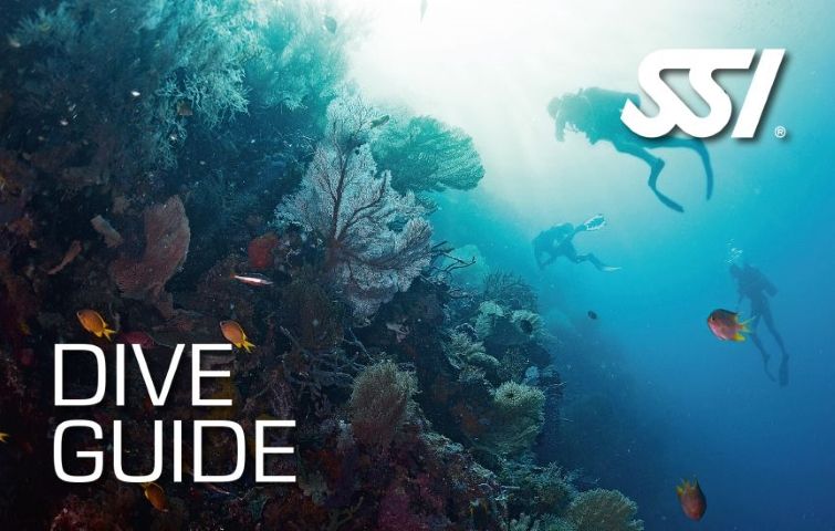 EL mejor curso de buceo de Venezuela - Dive Guide Los Roques - Arrecife Diver's EL mejor curso de buceo de Venezuela - Dive Guide Los Roques - Arrecife Diver's