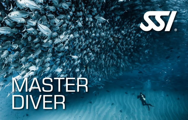 Escuela de buceo en Venezuela - Scuba Diving Caribbean - Arrecife Diver's Escuela de buceo en Venezuela - Scuba Diving Caribbean - Arrecife Diver's