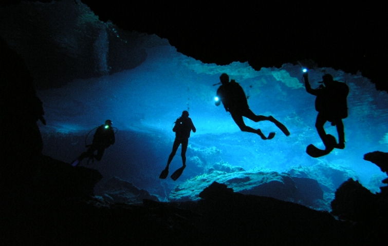 Buceo con linterna en Venezuela - Bucea con escasa luz en Los Roques con Arrecife Diver's Buceo con linterna en Venezuela - Bucea con escasa luz en Los Roques con Arrecife Diver's