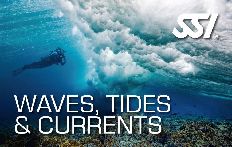 SSI Waves, Tides & Currents en Venezuela - Scuba Schools International - Arrecife Diver's