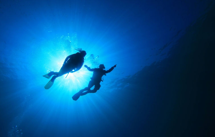 Programas de buceo profesionales - sesiones académicas - Centros de Scuba Diving - PADI