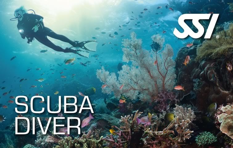 Scuba Schools International en Venezuela - Centro de buceo autorizado en Los Roques