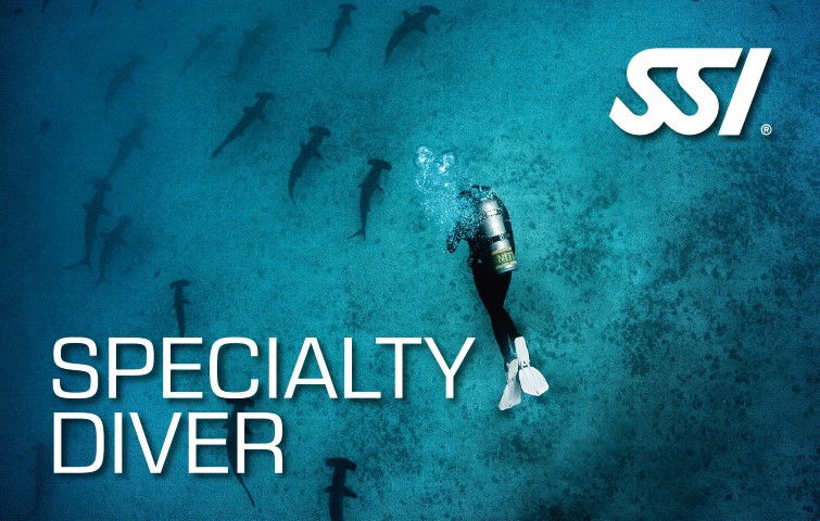 Los mejores cursos de buceo en Venezuela - Escuela de buceo en Los Roques