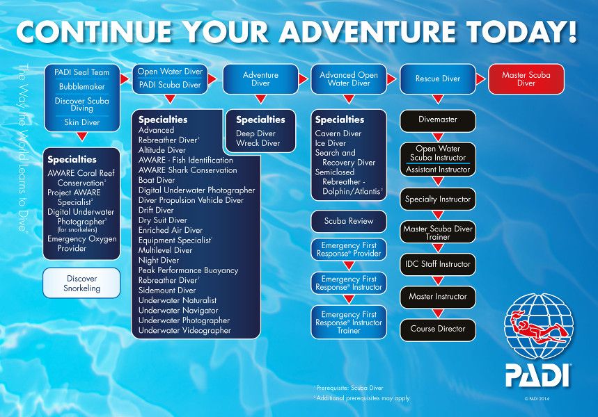 Todos los cursos de buceo PADI - Professional Association of Diving Instructors - Arrecife Diver's Venezuela