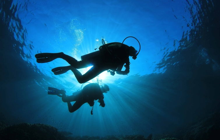 Arrecife Diver's en un centro de buceo autorizado por la PADI en Los Roques, Venezuela, Caribe Arrecife Diver's en un centro de buceo autorizado por la PADI en Los Roques, Venezuela, Caribe