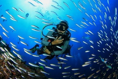 Arrecife Diver's - Scuba Schools International en Venezuela - Escuelas de buceo en Los Roques