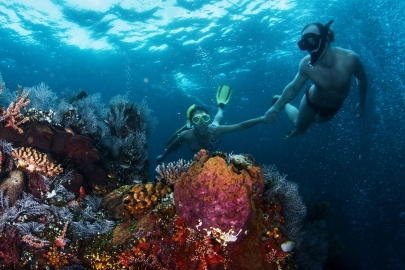 Bucea con tu pareja, amigos o familiares en el hermoso Archipiélago Los Roques de Venezuela