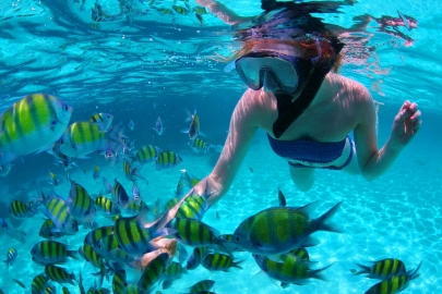 Los Roques te impresionará con su fascinante y hermosa fauna y flora subacuática