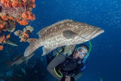 Nuestro centro de buceo está autorizado por la Professional Association of Diving Instructors (PADI) en Venezuela