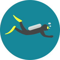 Buceo en Los Roques - Arrecife Diver's - Clases de buceo en Venezuela