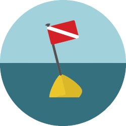 Los mejores Centros de Buceo en Venezuela - Arrecife Diver's