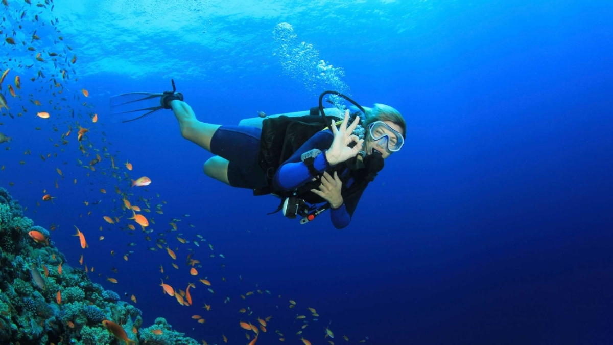 Buceo en Los Roques - Centros de Buceo en Venezuela - Arrecife Diver's